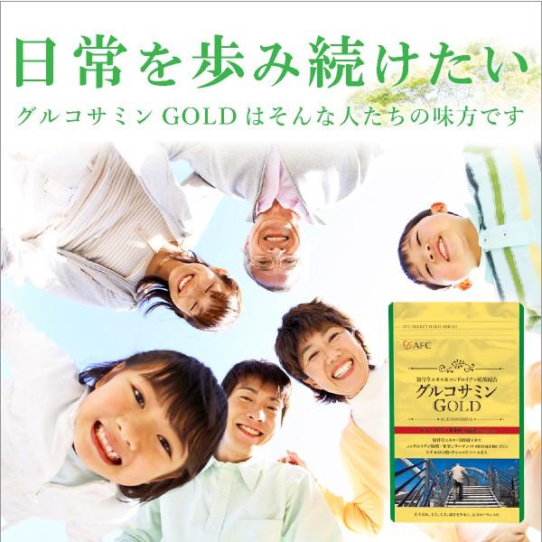 【23%off 期間限定価格】グルコサミンゴールドPRO　6本（1本：240粒） グルコサミンゴールドPRO | 新潟で配置薬から健康食品のことなら