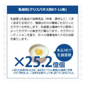 mitete キッズサプリ 乳酸菌 DHA カルシウム 野菜 鉄 配合 親子100組の