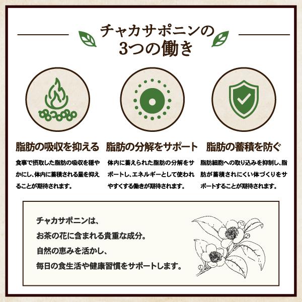 AFC（エーエフシー） スタイルアップ ラテ 150g （約30日分）【機能性