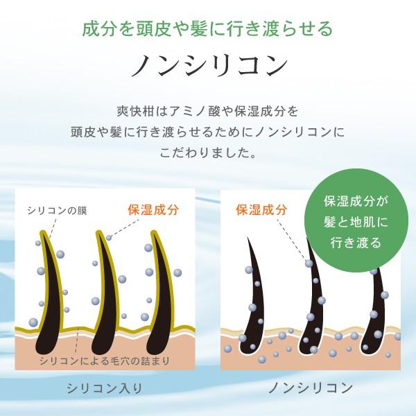 薬用 アミノ酸シャンプー 爽快柑【医薬部外品】500mL 2個セット　保湿成分を、アミノ酸15種類を含む34種類に増量　AFC公式 爆買 | AFC | 06