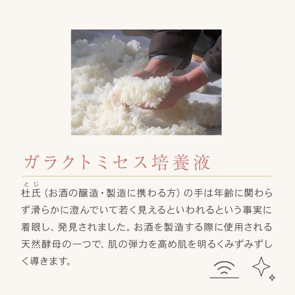 AFC（エーエフシー） ILILI ガラクトミセス 石けん 100g 洗顔