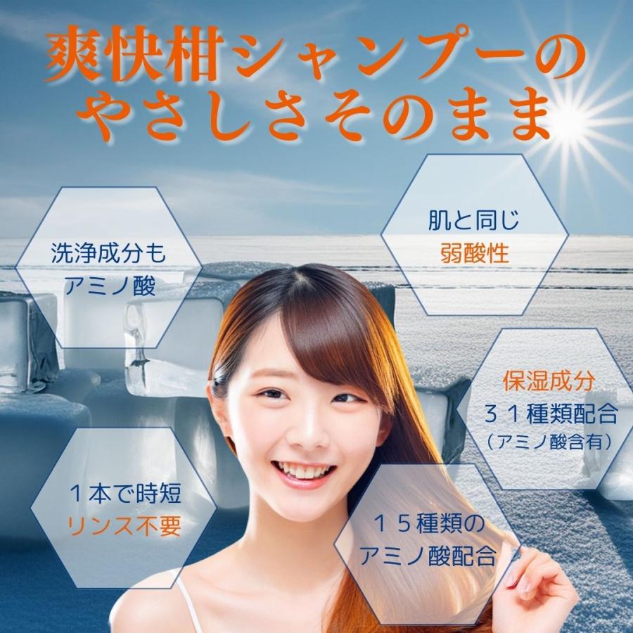 アミノ酸シャンプー 爽快柑 COOL 500mL 3個セット クールシャンプー 