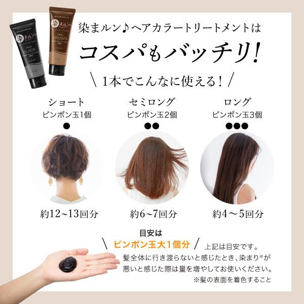 ヘアカラートリートメント　染まルン♪　220g　　カラー：ブラック【白髪用】　白髪染め　カラートリートメント　セルフカラー ヘア　｜afcshop｜10