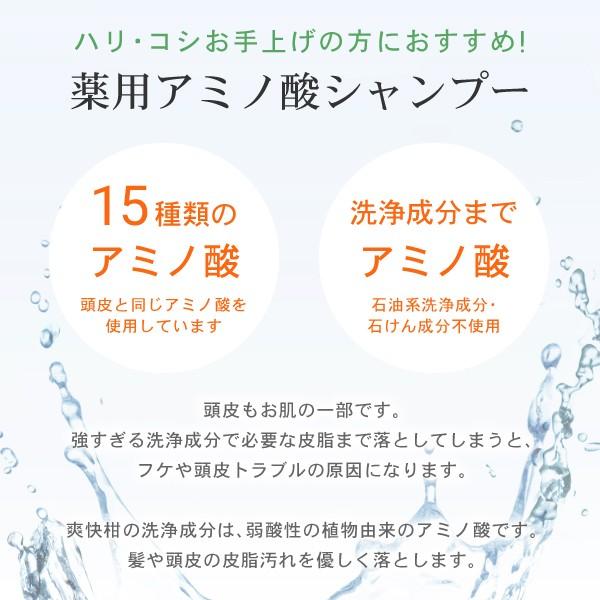 爽快柑 シャンプー 詰替用 薬用 アミノ酸 シャンプー 医薬部外品 詰換用パウチ500mL　ノンシリコン　AFC公式｜afcshop｜05