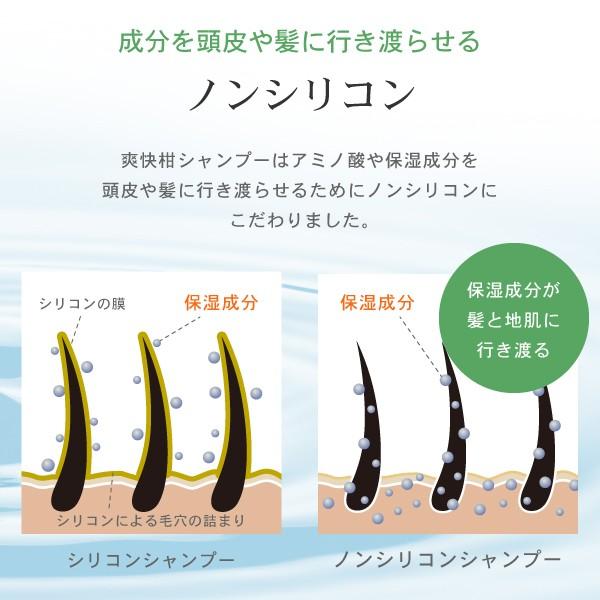 爽快柑 シャンプー 詰替用 薬用 アミノ酸 シャンプー 医薬部外品 詰換用パウチ500mL　ノンシリコン　AFC公式 爆買 | AFC | 06