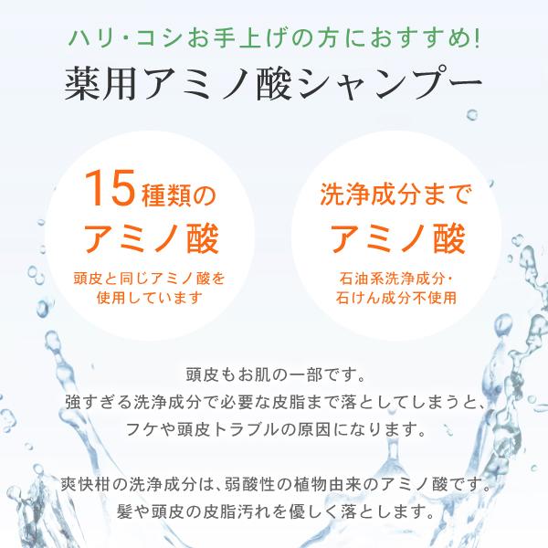 薬用 アミノ酸 シャンプー 爽快柑 詰替用 500mL 3個セット　医薬部外品 ノンシリコン AFC　ポイント利用 ポイント消化 爆買 | AFC | 04