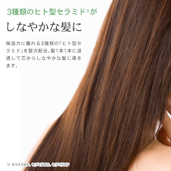 AFC（エーエフシー） 薬用 アミノ酸 シャンプー 爽快柑【医薬部外品