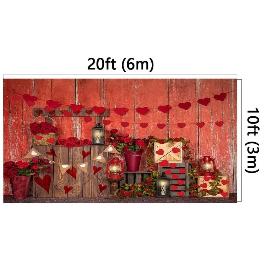 Kate 20x10フィート バレンタインデーテーマ 写真撮影用背景幕 赤い花とハートの背景 写真 赤い木 壁 バレンタインフォトコール小道具｜afljd62199｜02