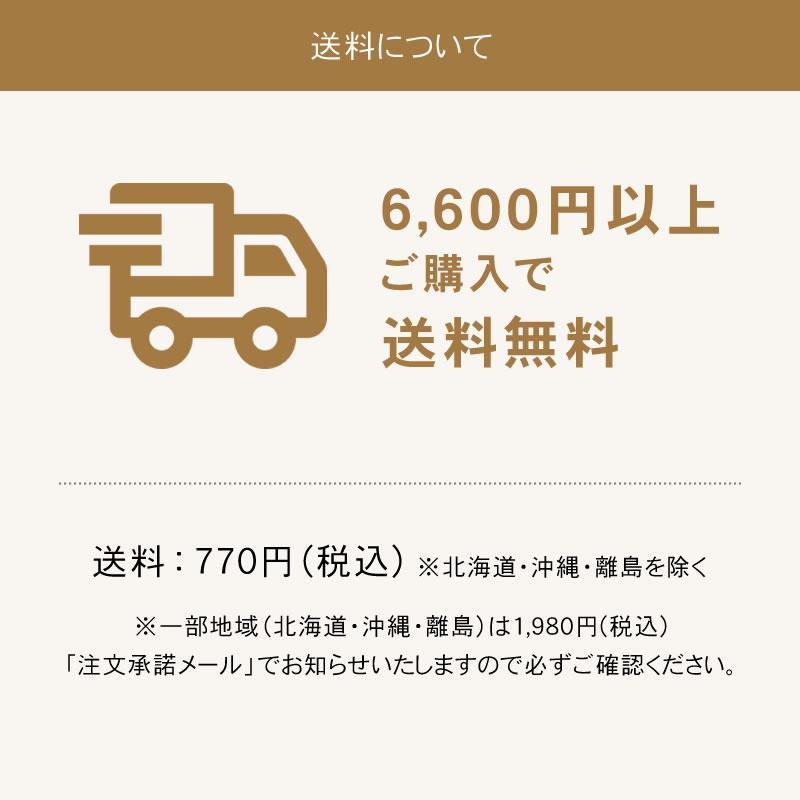 SELF'E STEM セルフエステム オールインワンジェル 50g 化粧水 美容液