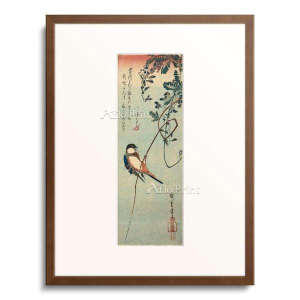 歌川広重 Utagawa Hiroshige 「Swallow perched on a Tendril of Wisteria.」