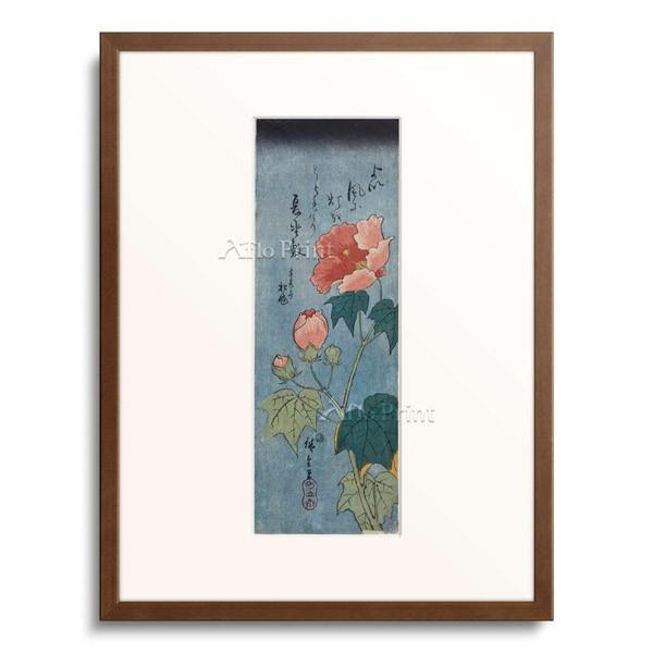 歌川広重 Utagawa Hiroshige 「Flowering Poppies.」