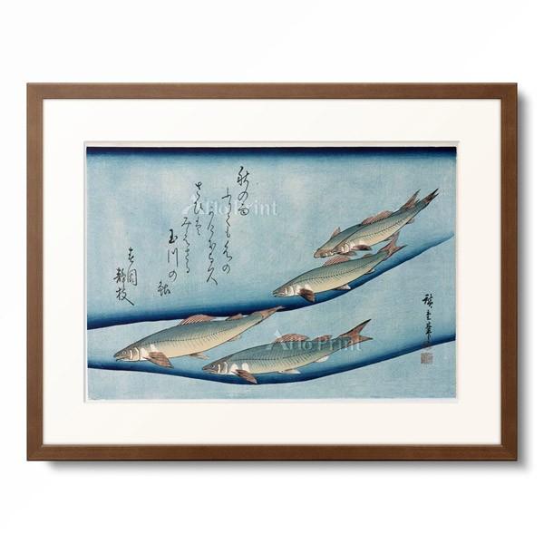 歌川 広重 Utagawa Hiroshige 「魚づくし 鮎」