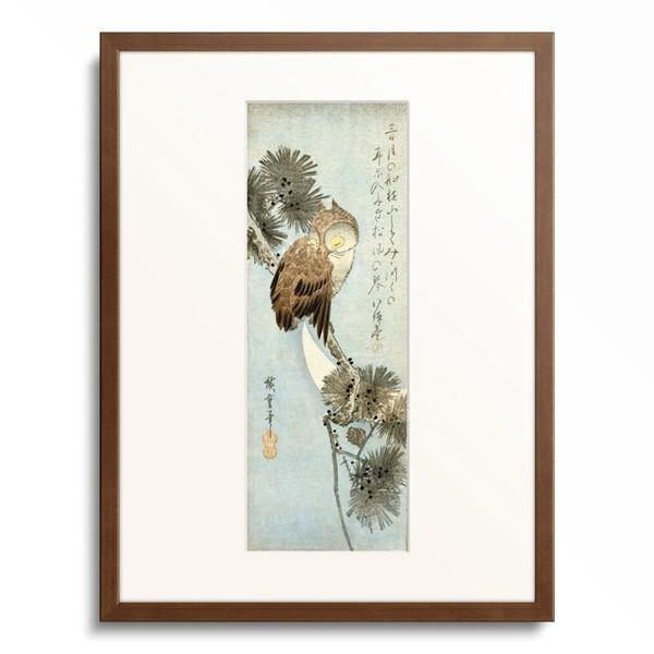 歌川 広重 Utagawa Hiroshige 「月に松上の木菟」