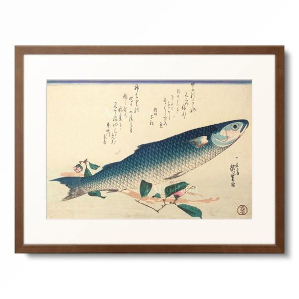 歌川 広重 Utagawa Hiroshige 「魚づくし ぼらにうど」