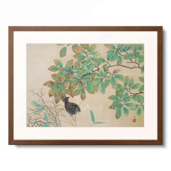 横山大観 Yokoyama Taikan 「鶉」
