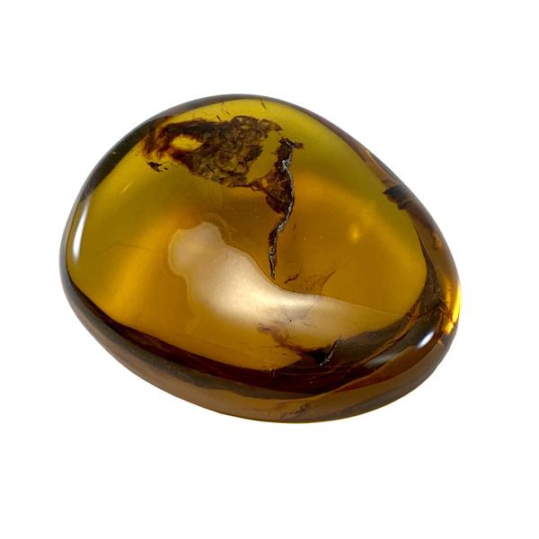 琥珀 天然琥珀 こはく バーマイト コレクション 龍牌彫刻品 龍牌 置物