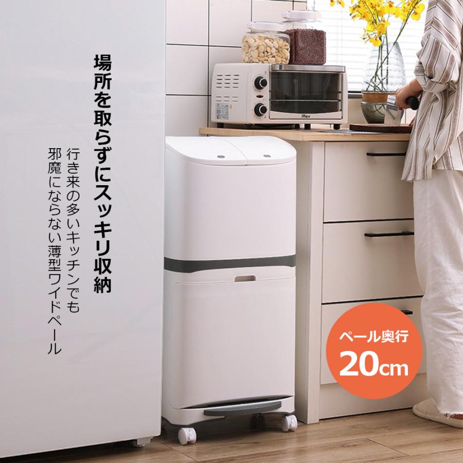 ゴミ箱 おしゃれ 45L ダストボックス フロントオープン 分別 袋可 