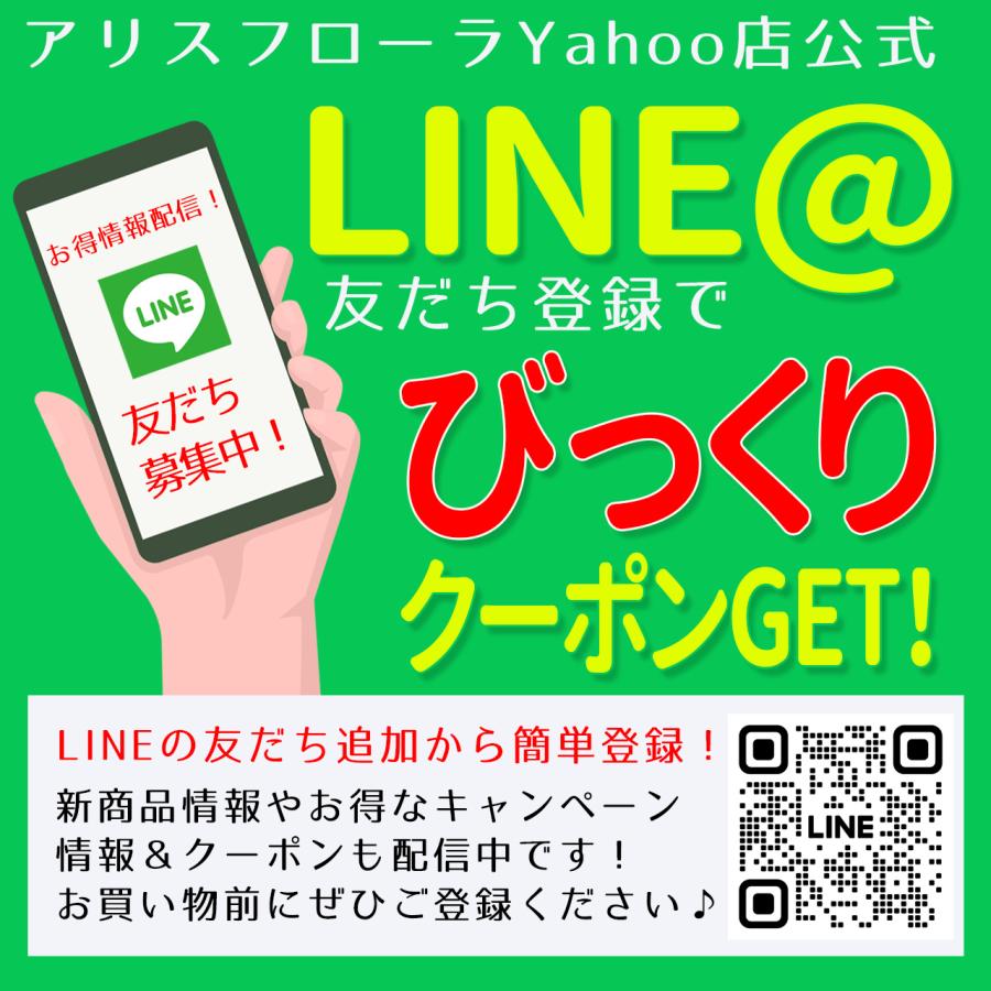 金属ステッカー スマホステッカー ステッカー シール 干支 十二支 イラスト １２枚 ３．５cm 金属製シール 金属 デコレーション パーツ stk1【AFP】｜afpearl｜08