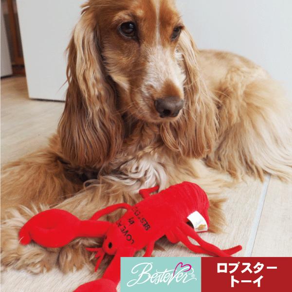 ペット用おもちゃ 犬用おもちゃ ドッグトーイ ペットトーイ オモチャ 犬 小型犬 犬用 ペット用 シャカシャカ キュッキュッ ピーピー かわいい ロブスタートーイ |  | 03