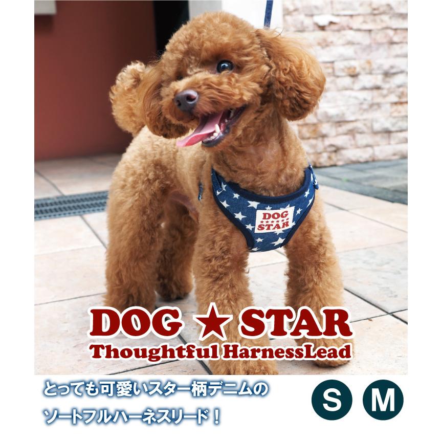 スター柄デニムソートフルハーネスリード ハーネスリード ハーネスリードセット 犬 犬用 小型犬 ペット用 リード付き アフレッシュフィーリング |  | 01