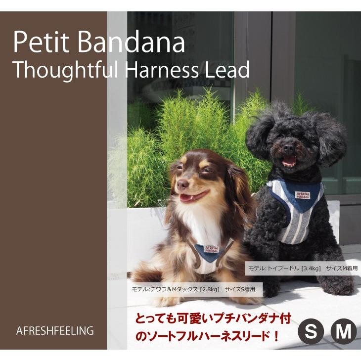 プチバンダナ付ストライプソートフルハーネスリード ハーネスリード ハーネスリードセット 犬 犬用 小型犬 ペット用 リード付き アフレッシュフィーリング |  | 01