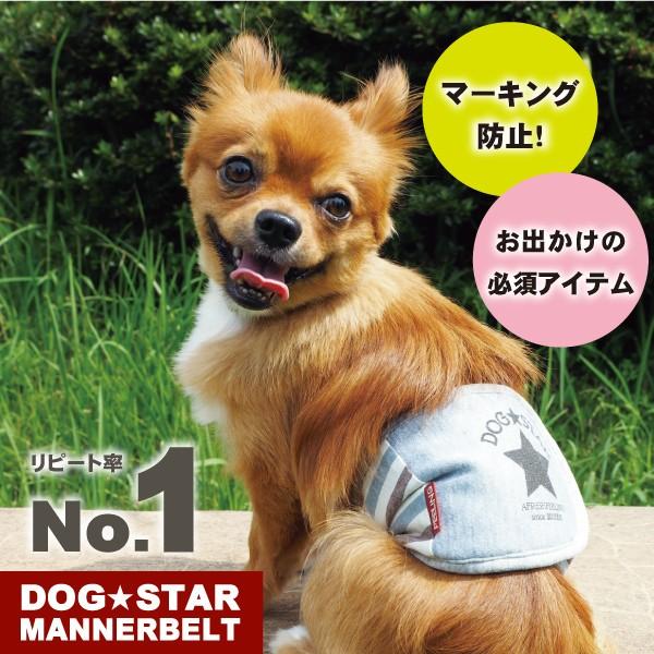 DOG★STARマナーベルト　LLサイズ　マナーベルト 犬 DOG ペット　アフレッシュフィーリング メール便1点のみＯＫ |  | 01