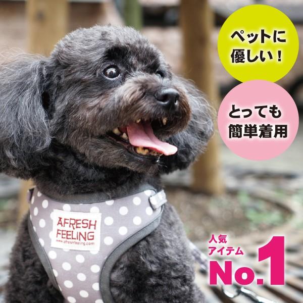 メール便送料無料 犬 ハーネスリード ハーネスリードセット 犬用 小型犬 ペット用 リード付 ドット柄ソートフルハーネスリード |  | 01