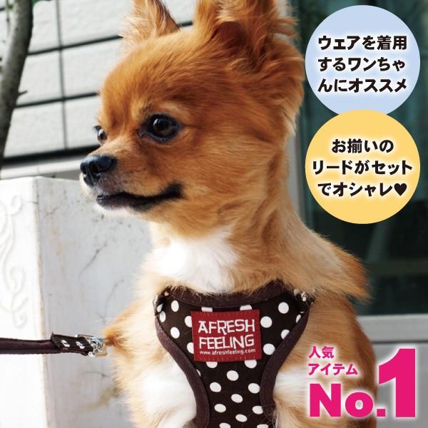 メール便送料無料 犬 ハーネスリード ハーネスリードセット 犬用 小型犬 ペット用 リード付 ドット柄ソートフルハーネスリード |  | 02