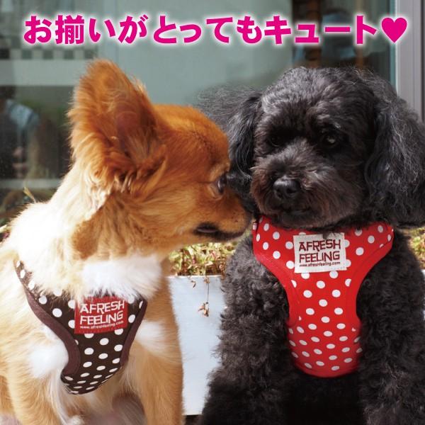 ドット柄ソートフルハーネスリード ハーネスリード ハーネスリードセット 犬 犬用 小型犬 ペット用 リード付き アフレッシュフィーリング :AF0223:犬猫用品と雑貨のAFRESH FEELING - 通販 - Yahoo!ショッピング ドット柄ソートフルハーネスリード ハーネスリード ハーネスリードセット 犬 犬用 小型犬 ペット用 リード付き アフレッシュフィーリング :AF0223:犬猫用品と雑貨のAFRESH FEELING - 通販 - Yahoo!ショッピング