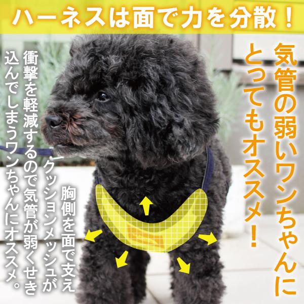 DOG STYLISH BASICバイカラーソートフルハーネスリード ハーネスリード ハーネスリードセット 犬 犬用 小型犬 ペット用 リード付き アフレッシュフィーリング |  | 02