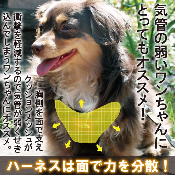 DOG STYLISH BASICカモフラソートフルハーネスリード ハーネスリード ハーネスリードセット 犬 犬用 小型犬 ペット用 リード付き アフレッシュフィーリング :af0225:犬猫用品と雑貨のAFRESH FEELING - 通販 - Yahoo!ショッピング DOG STYLISH BASICカモフラソートフルハーネスリード ハーネスリード ハーネスリードセット 犬 犬用 小型犬 ペット用 リード付き アフレッシュフィーリング :af0225:犬猫用品と雑貨のAFRESH FEELING - 通販 - Yahoo!ショッピング