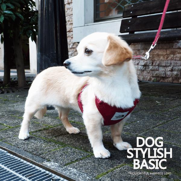犬 ハーネスリード ハーネスリードセット 犬用 小型犬 ペット用 リード付 DOG STYLISH BASICソートフルハーネスリード メール便送料無料 |  | 14