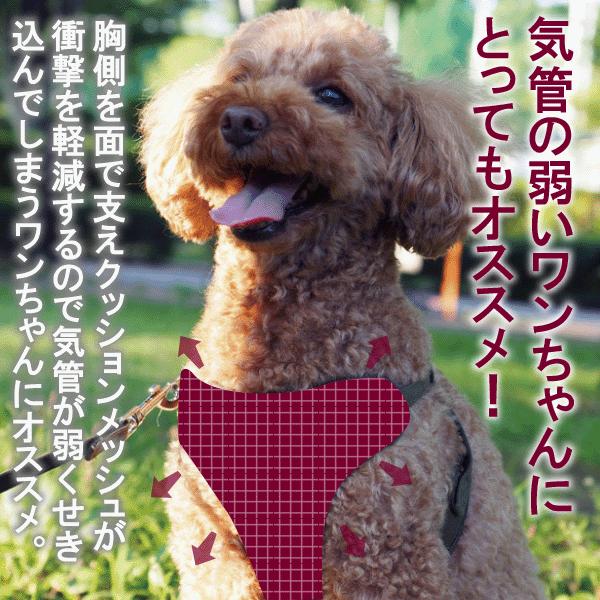 犬 ハーネスリード ハーネスリードセット 犬用 小型犬 ペット用 リード付 DOG STYLISH BASICソートフルハーネスリード メール便送料無料 |  | 03