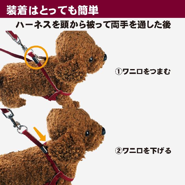 犬 ハーネスリード ハーネスリードセット 犬用 小型犬 ペット用 リード付 DOG STYLISH BASICソートフルハーネスリード メール便送料無料 |  | 08
