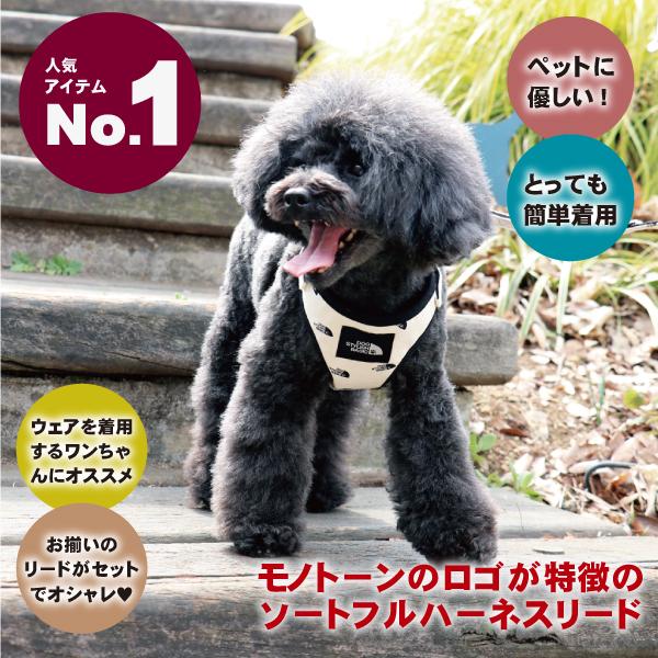 メール便送料無料 犬 ハーネスリード ハーネスリードセット 犬用 小型犬 ペット用 リード付 オールオーバーパターンソートフルハーネスリード |  | 01