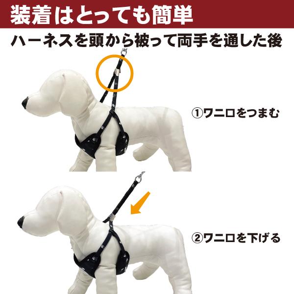 メール便送料無料 犬 ハーネスリード ハーネスリードセット 犬用 小型犬 ペット用 リード付 オールオーバーパターンソートフルハーネスリード |  | 07