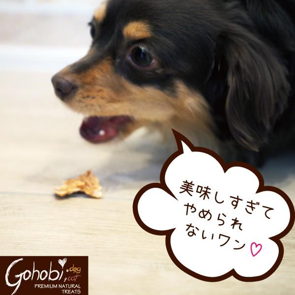 ペット 犬用 ドッグ トリーツ おやつ 純国産  無添加 無着色 無香料 メール便不可　鶏ささみ ひとくちタイプ　アフレッシュフィーリング |  | 03
