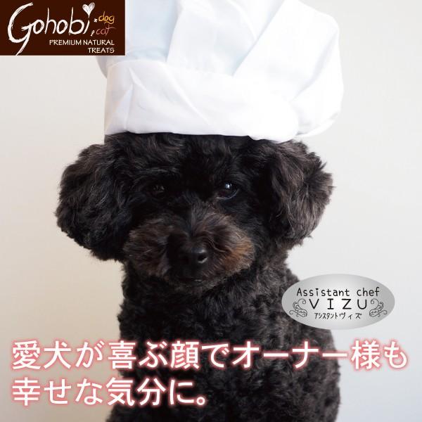 ペット 犬用 ドッグ トリーツ おやつ 純国産  無添加 無着色 無香料 メール便不可　鶏ささみ ひとくちタイプ　アフレッシュフィーリング |  | 08