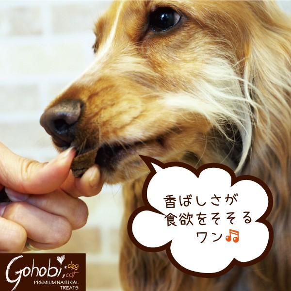 ペット 犬用 ドッグ トリーツ おやつ 純国産  無添加 無着色 無香料 メール便不可　豚レバー ひとくちタイプ　アフレッシュフィーリング |  | 03