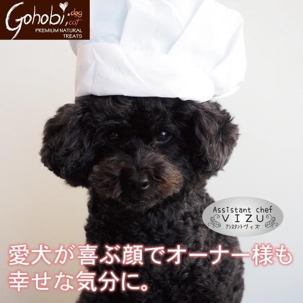 ペット 犬用 ドッグ トリーツ おやつ 純国産  無添加 無着色 無香料 メール便不可　豚レバー ひとくちタイプ　アフレッシュフィーリング |  | 08