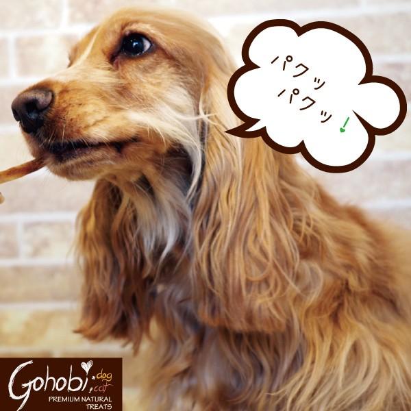 ペット 犬用 ドッグ トリーツ おやつ 純国産  無添加 無着色 無香料 メール便不可　豚ミミ ひとくちタイプ　アフレッシュフィーリング |  | 03