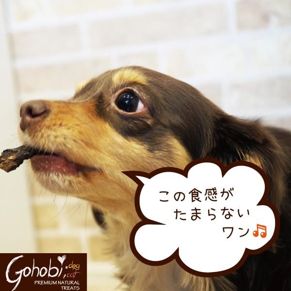 ペット 犬用 ドッグ トリーツ おやつ 純国産  無添加 無着色 無香料 メール便不可　エゾ鹿 ひとくちタイプ　アフレッシュフィーリング |  | 03
