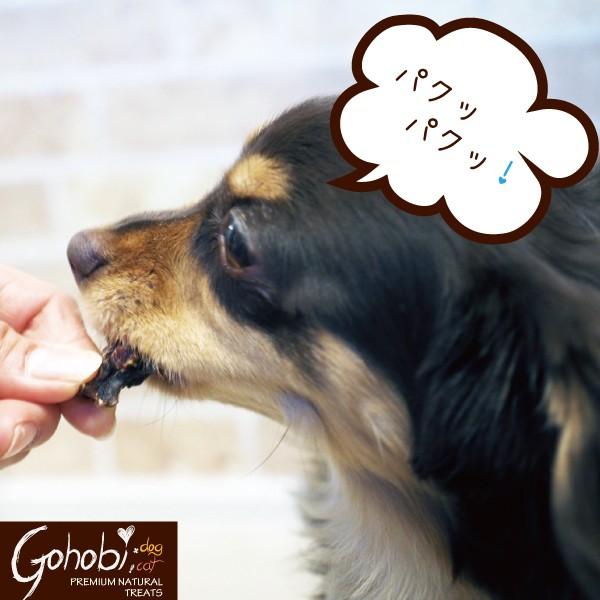 ペット 犬用 ドッグ トリーツ おやつ 純国産  無添加 無着色 無香料 メール便不可　天然まぐろ ひとくちタイプ　アフレッシュフィーリング |  | 03