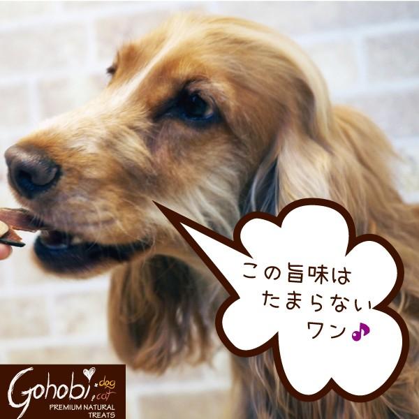 ペット 犬用 ドッグ トリーツ おやつ 純国産  無添加 無着色 無香料 メール便不可　かつお　アフレッシュフィーリング |  | 03