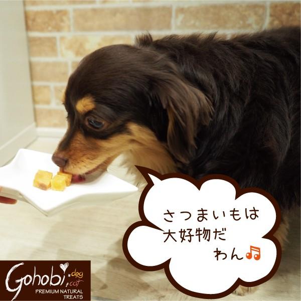 ペット 犬用 ドッグ トリーツ おやつ 純国産  無添加 無着色 無香料 メール便不可　焼きいも　ひとくちタイプ　アフレッシュフィーリング |  | 03