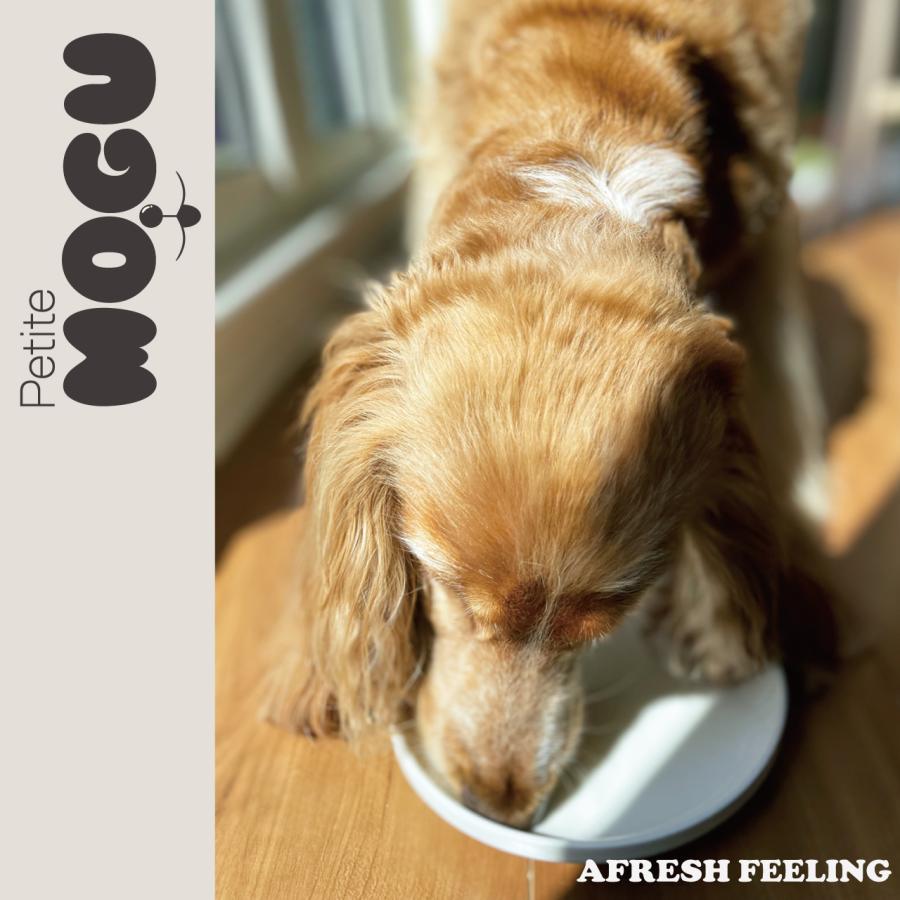 ライスパウダードーナツ２ケ入 グルテンフリー ペット 犬用 ドッグ 国産 ナチュラル トリーツ おやつ メール便不可 MOGU モグ アフレッシュフィーリング |  | 05