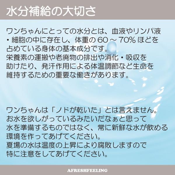 お年玉セール特価 ペット給水器 水筒 マナー用洗浄 おしっこ洗浄 ペット 犬 犬用 ドッグ お散歩 旅行 Richell アフレッシュフィーリング お 散歩ハンディシャワー ｍ Aynaelda Com