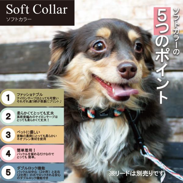 Buzzooh ソフトカラー Mサイズ カラー 首輪 犬用 犬 ドッグ ペット アフレッシュフィーリング メール便のみ送料無料 |  | 01