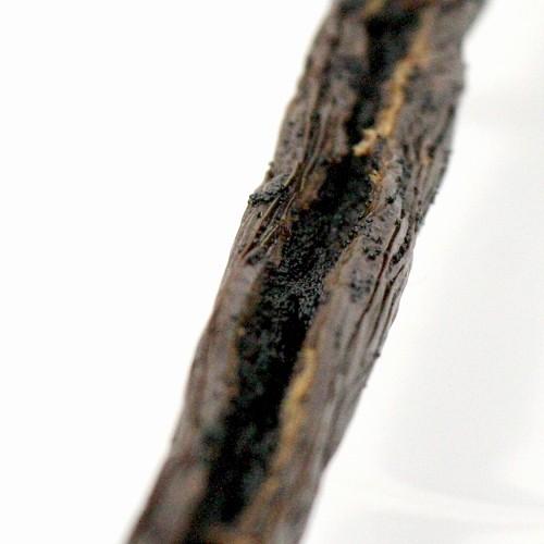 マダガスカル産 ブルボンバニラビーンズ 【1kg】【14〜19cm】【ECOCERT・FLO認証】バニラ　バニラビーンズ　バニラペースト　製菓用　業務用　ヴァニラ