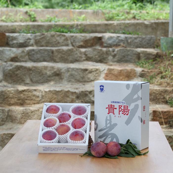 8 25頃までの販売 山梨県 高級品種 貴陽 プラム すもも 中玉 送料無料 新作送料無料 特産品 スモモ 甲州市産 産地直送